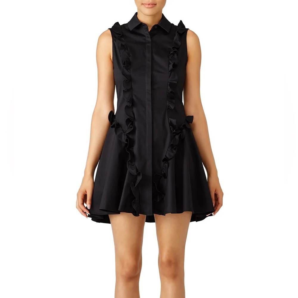 Alexis Black Ruffled Sleeveless Mini Dress